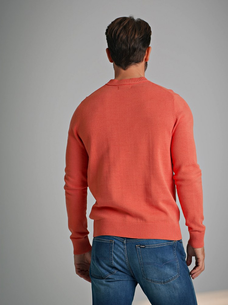 Springfield genser 7249543_MPR-REDFORD-S22-Modell-Back_chn=match_55402.jpg_Back||Back