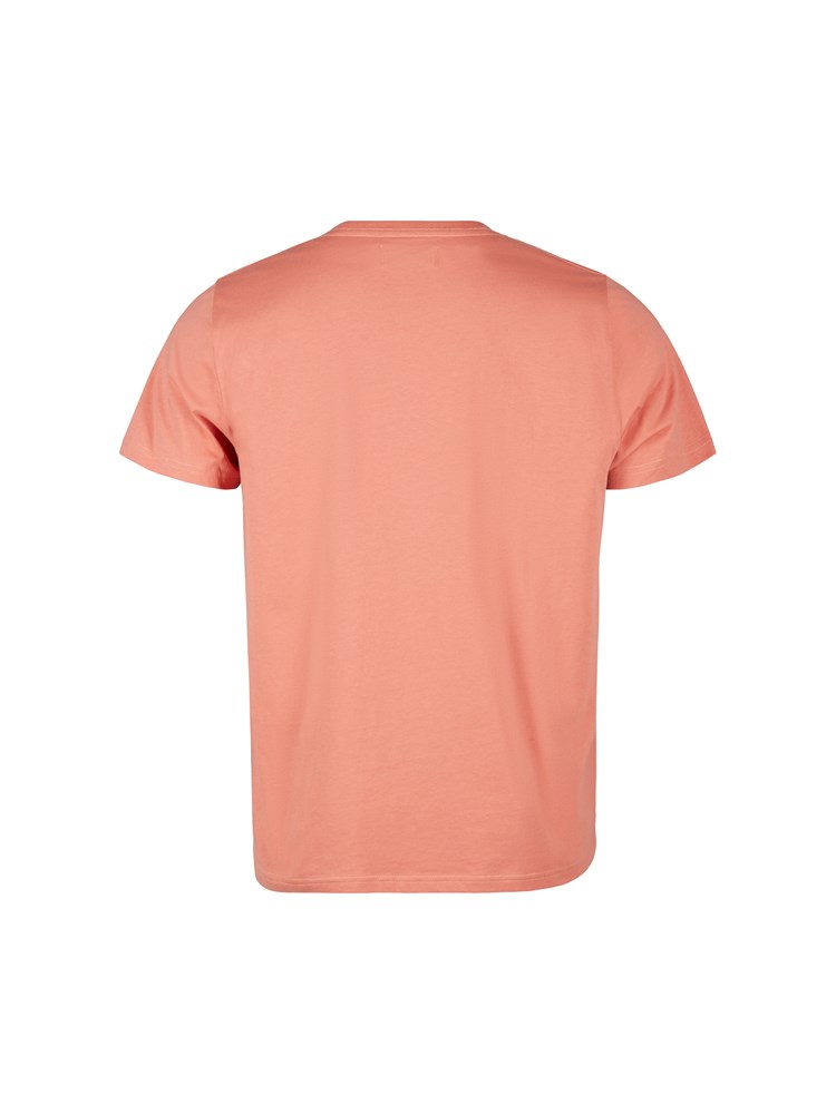 Frank t-skjorte 7249584_MPR-REDFORD-S22-back_73104.jpg_Back||Back