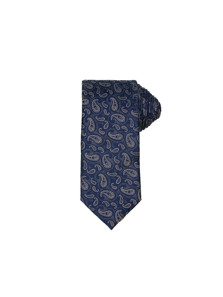 X-Plizit slips 7251356_EM6-INTEX-A22-front_X-Plizit slips EM6 7251356_X-PLIZIT SLIPS PAISLEY.jpg_Front||Front