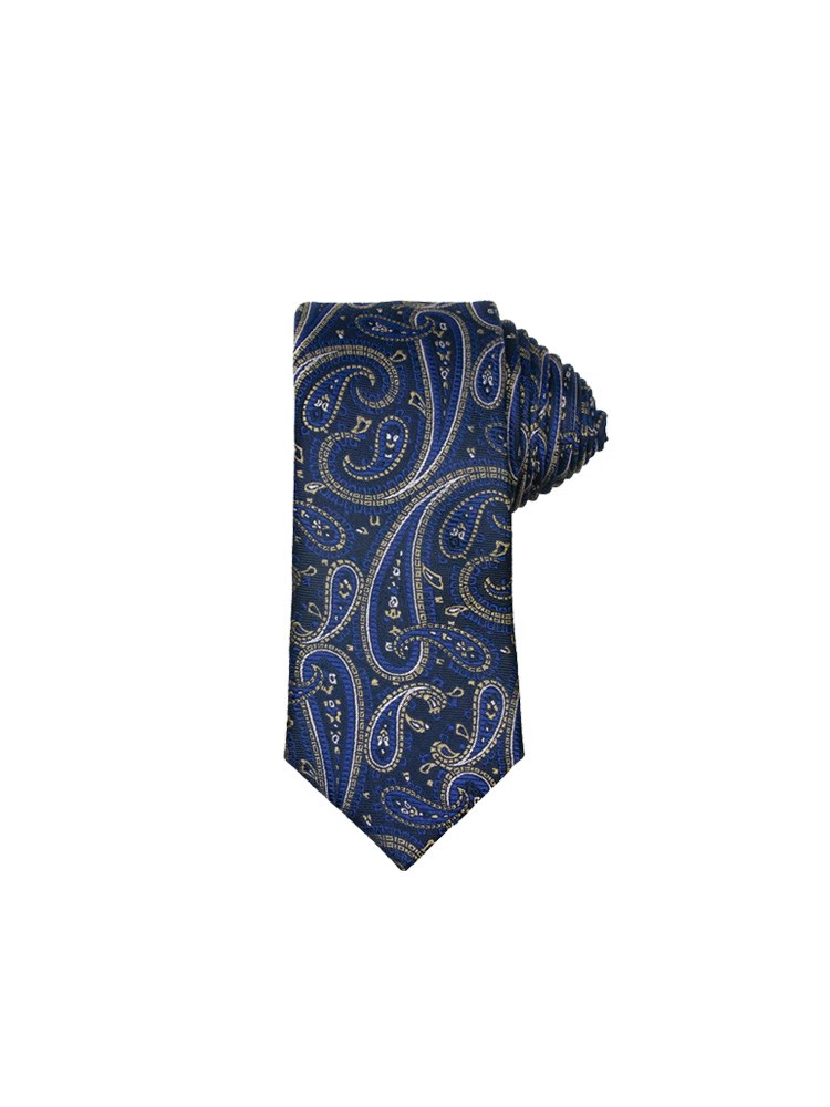 X-Plizit silkeslips 7251754_EM6-INTEX-S23-front_X-PLIZIT SLIPS PAISLEY 7CM BLÅ.jpg_Front||Front