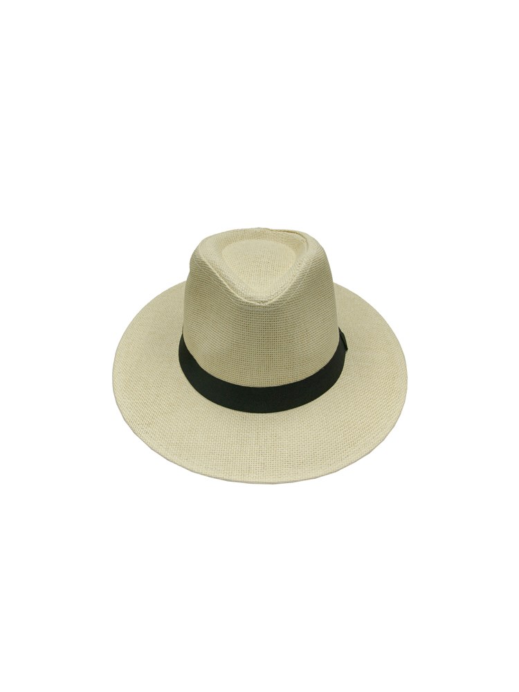 Stråhatt  7251766_I4Y-INTEX-H23-front_SUMMER HATT M/PALMER.jpg_Front||Front