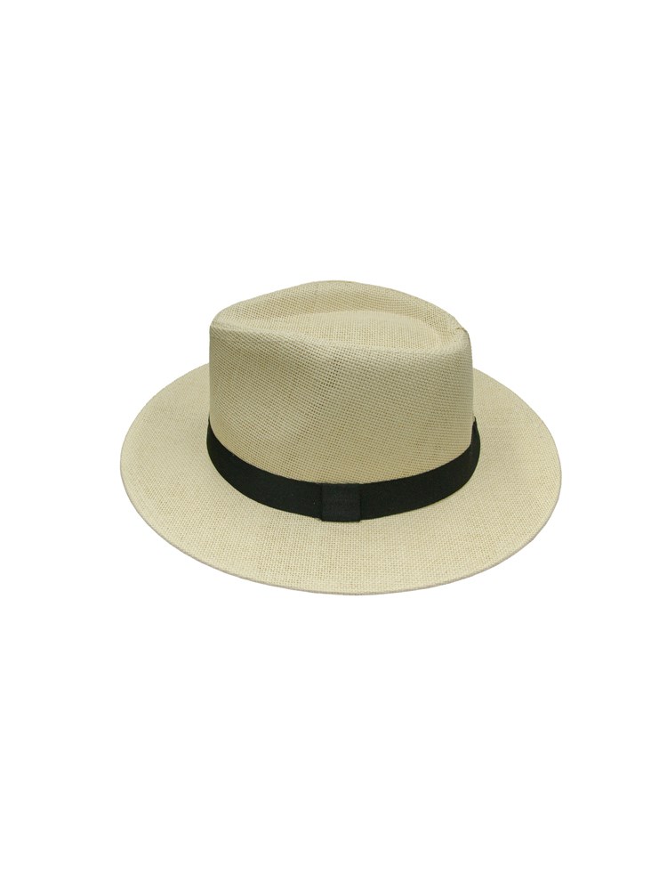 Stråhatt 7251766_I4Y-INTEX-H23-right_SUMMER HATT M/PALMER.jpg_Right||Right