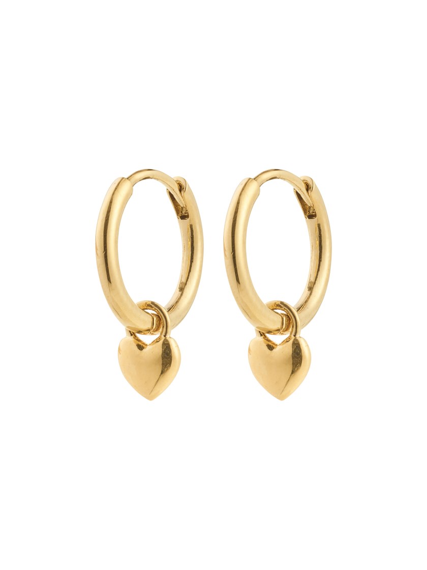 7253604 Q1G 7253604_Q1G_Alaia Earrings Gold-Plated_1_Alaia Earrings Gold-Plated Q1G_Alaia Earrings Gold-Plated Q1G 7253604.jpg_