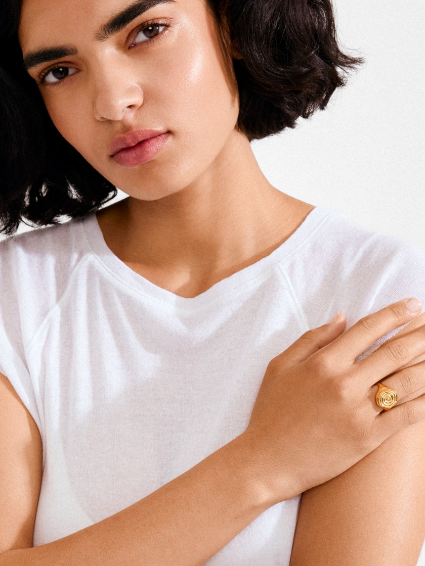 7253832 Q1G 7253832_Q1G_PILGRIM_Air Ring (1)_Air ring Q1G 7253832.jpg_