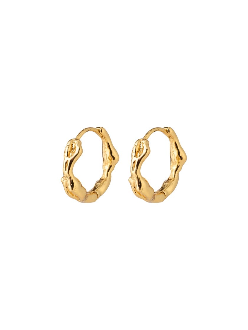 7253994 Q1G 7253994_Q1G_PILGRIM_ZION small huggie hoop earrings gold-plated_1_Zion Small Huggie Hoop Earring Q1G.jpg_