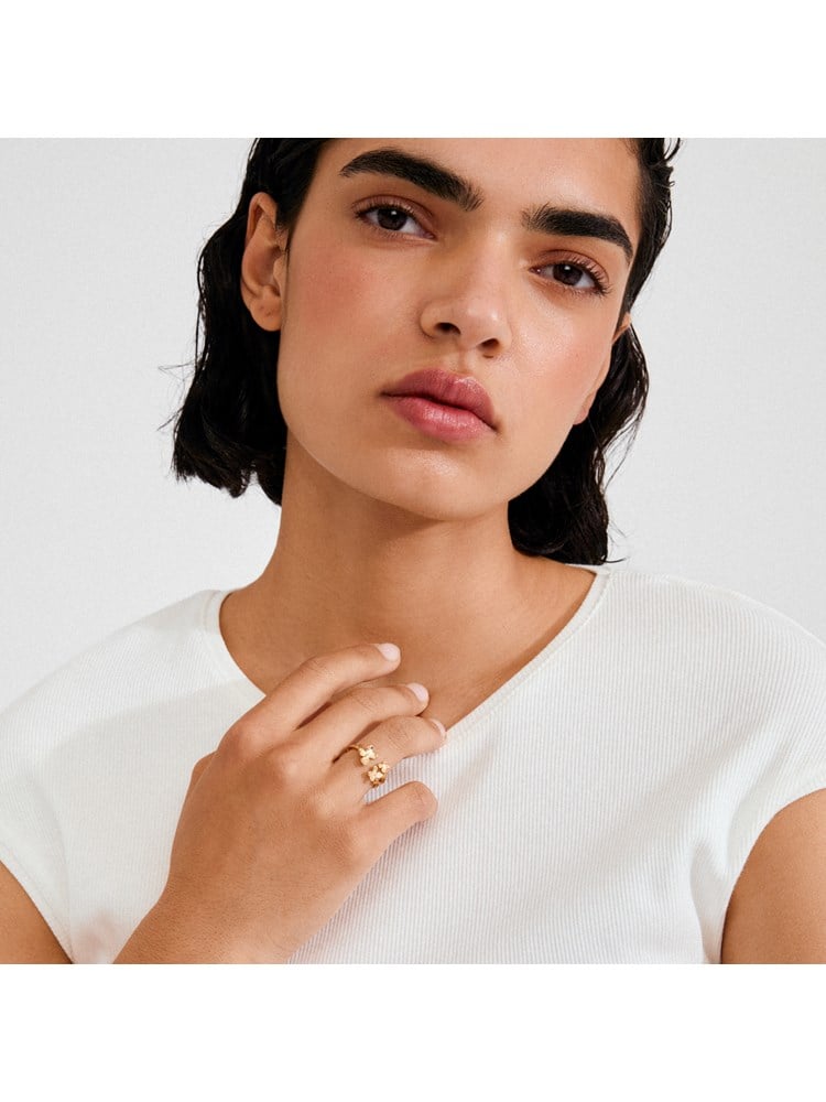 Ajani Ring 7253998_Q1G_PILGRIM_AJANI ring gold-plated_4.jpg_