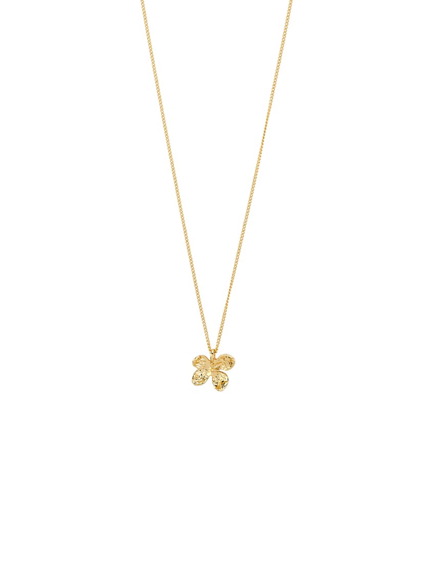 7254109 Q1G 7254109_Q1G_PILGRIM_smykker_gold_dame_A26_1_Ajani Necklace Q1G.jpg_