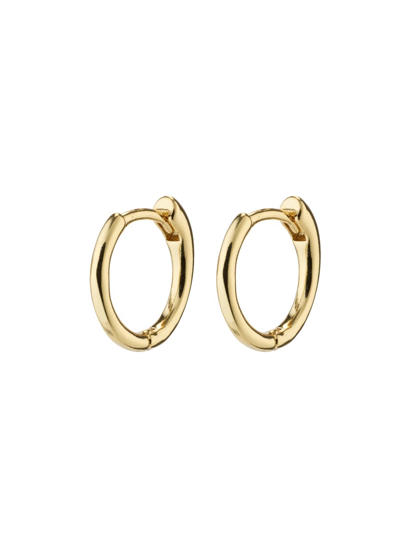 7254118 Q1G 7254118_Q1G_PILGRIM_oredobber_gold_dame_herre_unisex_A26_1_Eanna Small Hoops Q1G.jpg_
