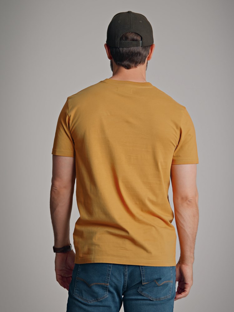 Mountain t-skjorte 7500818_AEG-Redford-A22-modell-back.jpg_