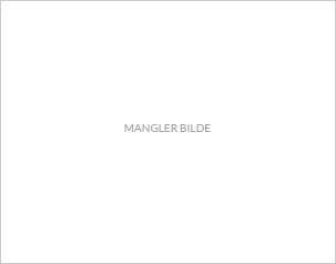 Marc hettegenser EFL