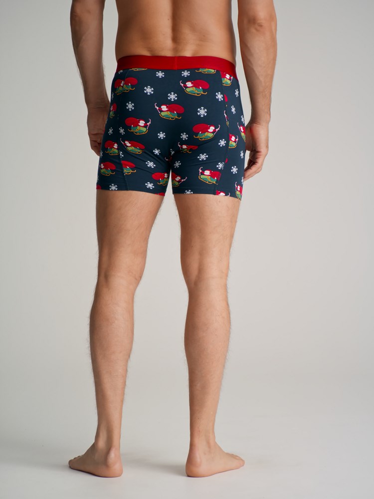 Christmas boxershorts 7501512_EMU-Redford-W22-Modell-Back.jpg_Back||Back