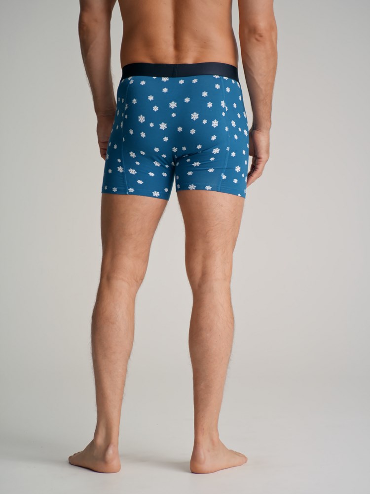 X-mas boxershorts 7501564_EHA-REDFORD-W22-Modell-Back_X-mas boxershorts EHA.jpg_Back||Back