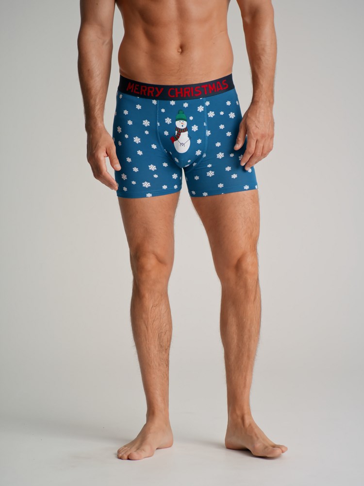 X-mas boxershorts 7501564_EHA-REDFORD-W22-Modell-Front_X-mas boxershorts EHA.jpg_Front||Front