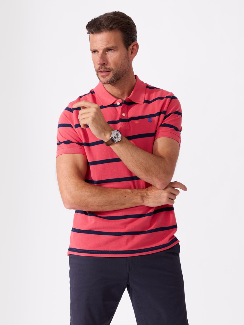 7515541 MQN 7515541_MQN-REDFORD-H26-Modell-Front_chn=match_5164_Morgan stripete pique MQN.jpg_Front||Front